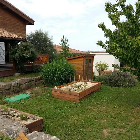 Ecolodge Bellevue Albi Exteriör bild